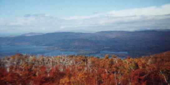 View from Fire Tower on top of Red Hill, White Mountains, New Hampshire