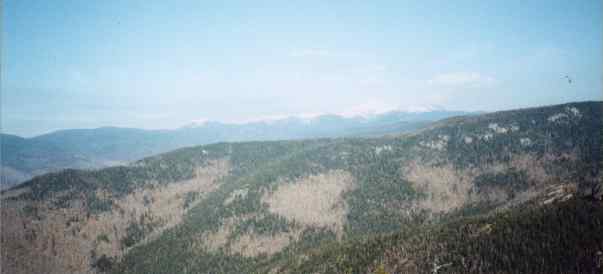 Photo of view of Presidential Range from summit Mt. Crawford, White Mountains, New Hampshire